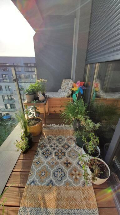 Apartment In City Center Przemyśl Esterno foto